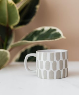 Creative Cup