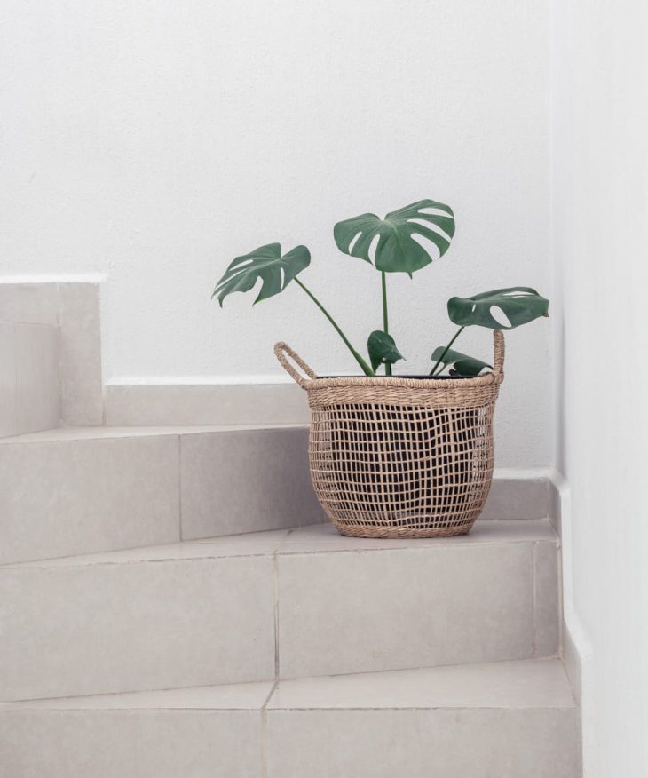 Minimal Basket